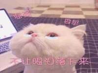泗阳美蟹汇电子商务有限公司