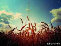 泗阳美蟹汇电子商务有限公司