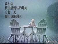 泗阳美蟹汇电子商务有限公司