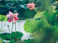 泗阳美蟹汇电子商务有限公司