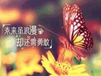 泗阳美蟹汇电子商务有限公司