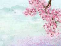 泗阳美蟹汇电子商务有限公司