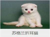 泗阳美蟹汇电子商务有限公司