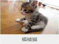 泗阳美蟹汇电子商务有限公司