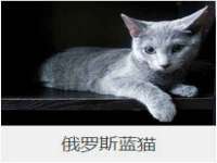 泗阳美蟹汇电子商务有限公司