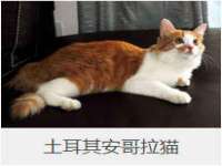 泗阳美蟹汇电子商务有限公司
