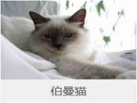 泗阳美蟹汇电子商务有限公司