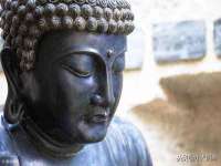 泗阳美蟹汇电子商务有限公司