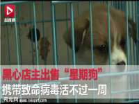 泗阳美蟹汇电子商务有限公司