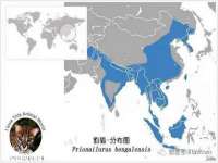 泗阳美蟹汇电子商务有限公司