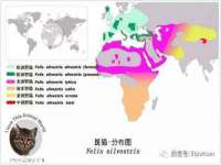 泗阳美蟹汇电子商务有限公司