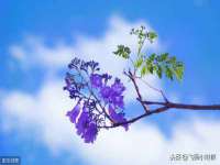 泗阳美蟹汇电子商务有限公司