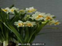 泗阳美蟹汇电子商务有限公司