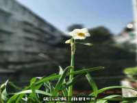 泗阳美蟹汇电子商务有限公司