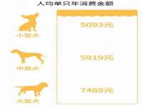 泗阳美蟹汇电子商务有限公司