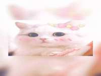 泗阳美蟹汇电子商务有限公司