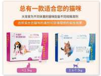 泗阳美蟹汇电子商务有限公司