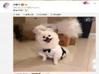 泗阳美蟹汇电子商务有限公司
