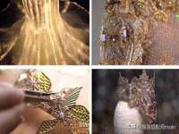 泗阳美蟹汇电子商务有限公司