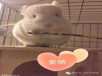 泗阳美蟹汇电子商务有限公司