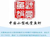 泗阳美蟹汇电子商务有限公司