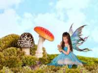 泗阳美蟹汇电子商务有限公司