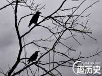 泗阳美蟹汇电子商务有限公司