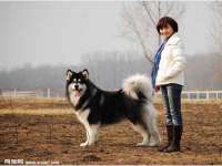 泗阳美蟹汇电子商务有限公司