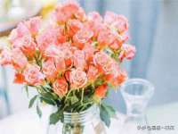 泗阳美蟹汇电子商务有限公司