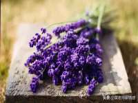 泗阳美蟹汇电子商务有限公司