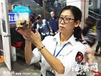 泗阳美蟹汇电子商务有限公司