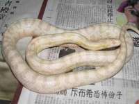 泗阳美蟹汇电子商务有限公司