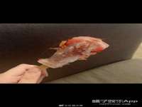 泗阳美蟹汇电子商务有限公司